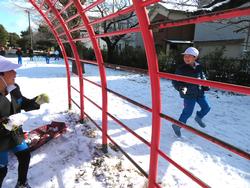 運動場で雪遊びを楽しむ三樹っ子たち