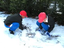 運動場で雪遊びを楽しむ三樹っ子たち