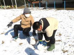 運動場で雪遊びを楽しむ三樹っ子たち