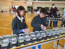 5年生ダイハツものづくり体験教室の様子