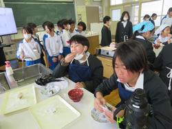 第5回クラブ活動（3年生見学）の様子