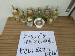 2年生生活科の授業