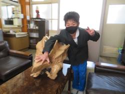 ワニガメを作ったよ