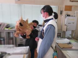 ワニガメを作ったよ