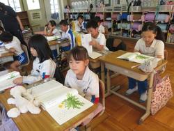 2年生国語の授業