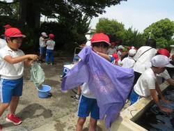 3年生ワイシャツに染色
