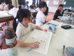 5年生理科の授業