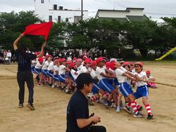 5・6年生綱引き