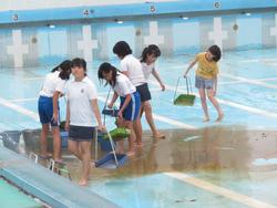 6年生プール清掃の様子