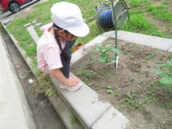 1年生生活科の授業