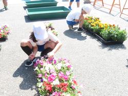 3年生花いっぱい運動の様子