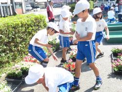 3年生花いっぱい運動の様子