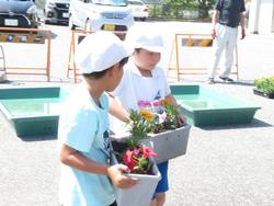 3年生花いっぱい運動の様子
