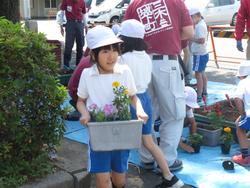 3年生花いっぱい運動の様子
