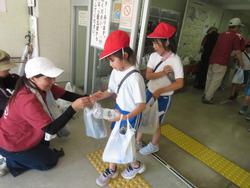 3年生花いっぱい運動の様子