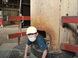 6年生校外学習東大寺班別行動