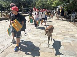 6年生校外学習東大寺南大門到着