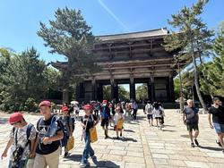 6年生校外学習東大寺南大門到着