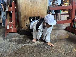 6年生校外学習東大寺班別行動