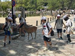 6年生校外学習班別行動