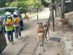 6年生校外学習班別行動
