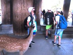 6年生校外学習東大寺南大門到着
