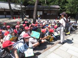 6年生校外学習東大寺南大門到着