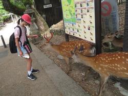 6年生校外学習東大寺班別行動