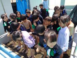 1年生水泳学習