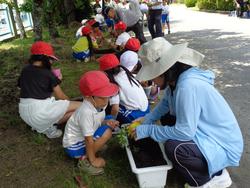 2年生老人クラブの方々と花植え