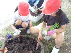 2年生老人クラブの方々と花植え