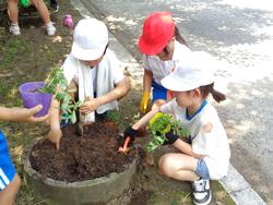 2年生老人クラブの方々と花植え