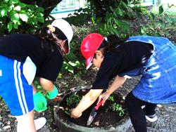 2年生老人クラブの方々と花植え