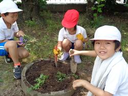 2年生老人クラブの方々と花植え