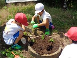 2年生老人クラブの方々と花植え