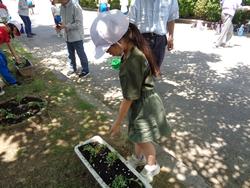 2年生老人クラブの方々と花植え