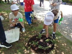 2年生老人クラブの方々と花植え