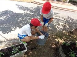 2年生老人クラブの方々と花植え