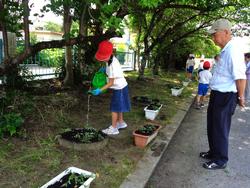 2年生老人クラブの方々と花植え