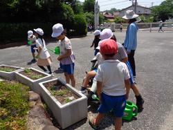 2年生老人クラブの方々と花植え