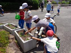 2年生老人クラブの方々と花植え