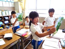 3年生国語の授業