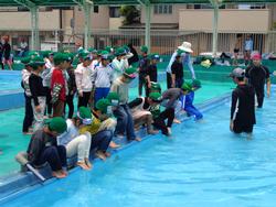 1年生着衣水泳の様子