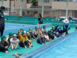 1年生着衣水泳の様子