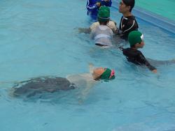 1年生着衣水泳の様子