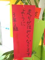 各ファミリーの七夕かざり