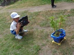 3年生理科の授業