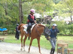 森の引き馬
