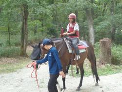 森の引き馬