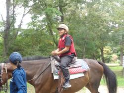 森の引き馬